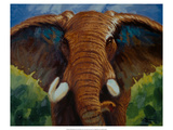 Bold Elephant II Giclee Print by Robert Tate