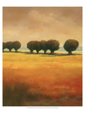 Pollard Willow II Giclee Print by Graham Reynolds