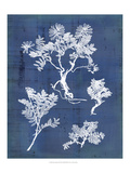 Nature's Imprint II Giclée-Druck von Vision Studio 