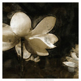 Bronze Lily II Giclee Print by Noah Bay