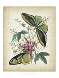 Fanciful Flight II Giclee Print by John Wiek