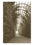 Hampton Court, UK Giclee Print by Meg Mccomb