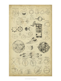 Encyclopediae II Giclee Print by Chambers 