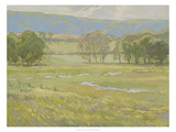 Summer Pasture I Giclee Print by Stephen Calcasola