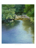 Reflections Giclee Print by Mary Jean Weber