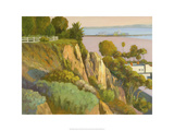 The Bluffs, Santa Monica, California Giclee Print by Michael G. Miller