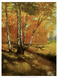 Woodland Stream I Giclee Print by Graham Reynolds