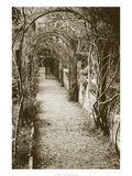 La Centinale, Italy Giclee Print by Meg Mccomb