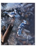 A Touch of Blue Giclee Print by Kevin Daniel