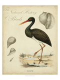 Heron Anthology I Reproduction procédé giclée