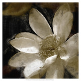 Bronze Lily I Giclee Print by Noah Bay