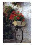 Flower Box Bike Reproduction procédé giclée par Meg Mccomb