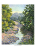 Waiting for Rain Giclee Print by Mary Jean Weber