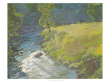 Inner Stream Giclee Print by Stephen Calcasola