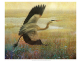Foggy Heron I Giclee Print by Chris Vest