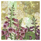 Foxglove Meadow I Giclee Print by R. Collier-Morales