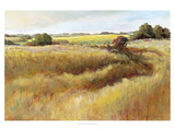Moving Free Reproduction procédé giclée par A.A. Pfannmuller