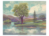 Riverscape II Giclée-Druck von Victor Valla