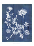 Nature's Imprint IV Giclee Print by Vision Studio 