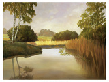 Reeds, Birches and Water I Giclee Print by Graham Reynolds
