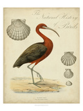 Heron Anthology II Reproduction procédé giclée