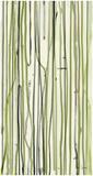 Menta Edición limitada por Asia Jensen
