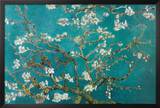 Almond Blossom Posters by Vincent van Gogh
