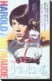 Harold and Maude Stretched Canvas Print