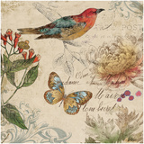 Nature's Rhapsody II Prints by Aimee Wilson
