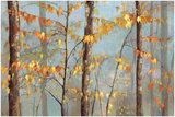 Delicate Branches Prints by Allison Pearce