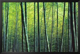 The Bamboo Grove Póster por Robert Churchill