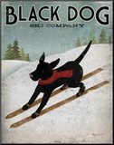 Black Dog Ski Mounted Print by Ryan Fowler