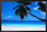 Seychelles Photo by Mark Karrass