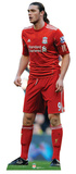 Liverpool FC-Andy Carroll Action Silhouette découpée