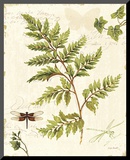 Ivies and Ferns I Mounted Print by Lisa Audit