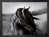 Fierce Grace Prints by Tony Stromberg