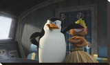 Madagscar: Skipper, Head Penguin in Cockpit Limited Edition on Canvas