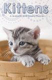 Kittens - 2013 Weekly Planner Calendar Calendars