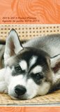 Puppies - 2013 Pocket Planner Calendar Calendars