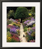 The Garden Cat Posters by Greg Gawlowski