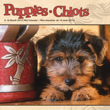 Puppies - 2013 Mini Calendar Calendars