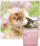 Kittens - 2013 Calendar Calendars