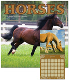 Horses - 2013 Calendar Calendars