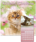 Kittens - 2013 Calendar Calendars