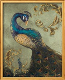 Peacock on Sage II Prints by Tiffany Hakimipour