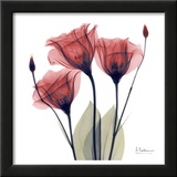 Gentian Trio in Red Posters by Albert Koetsier