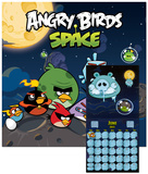 Angry Birds Space -2013 Calendar Calendars