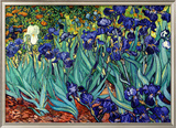 Irises, Saint-Remy, c.1889 Posters by Vincent van Gogh