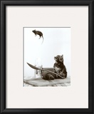 Cat and Mouse Poster