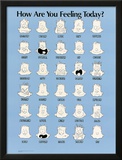How Are You Feeling Today Prints by Jim Borgman